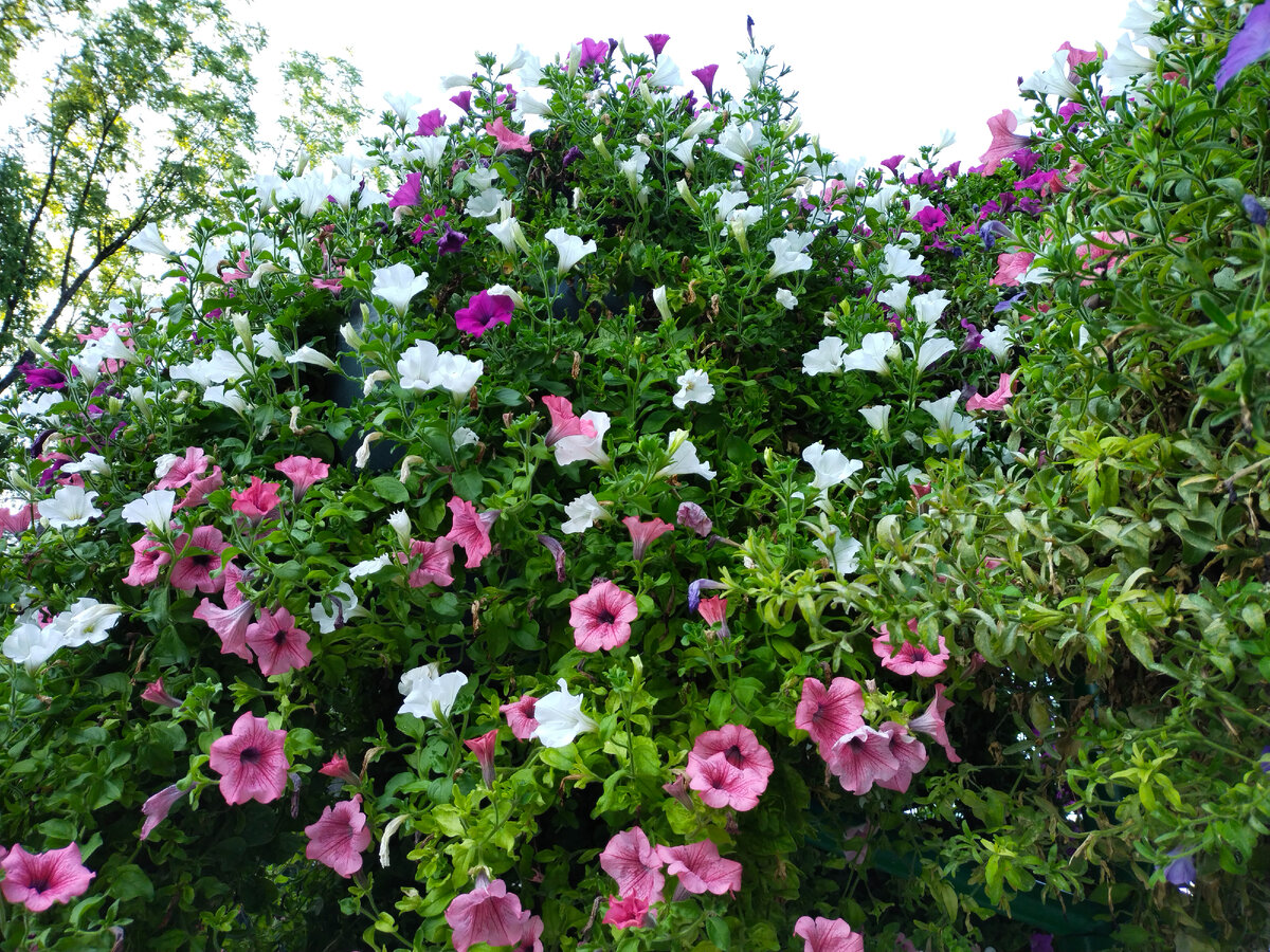 Фото автора канала