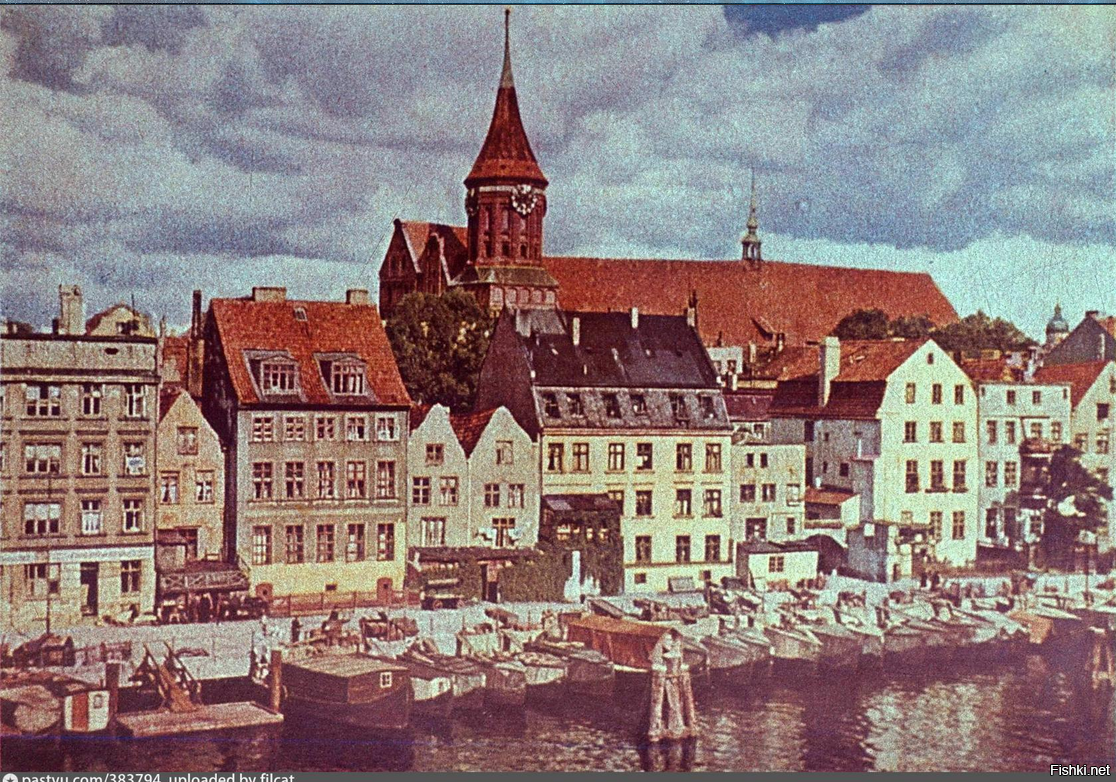 замок кёнигсберг калининград. кенигсберг хагенштрассе. мосты калининград кенигсберг кнайпхоф. старый кенигсберг город. кнайпхоф кенигсберг.