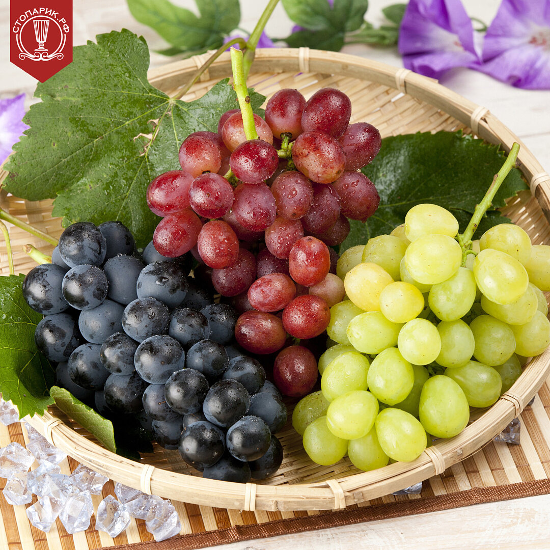 Взято из открытого источника