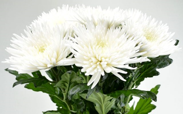 Фото из интернета pixabay.com