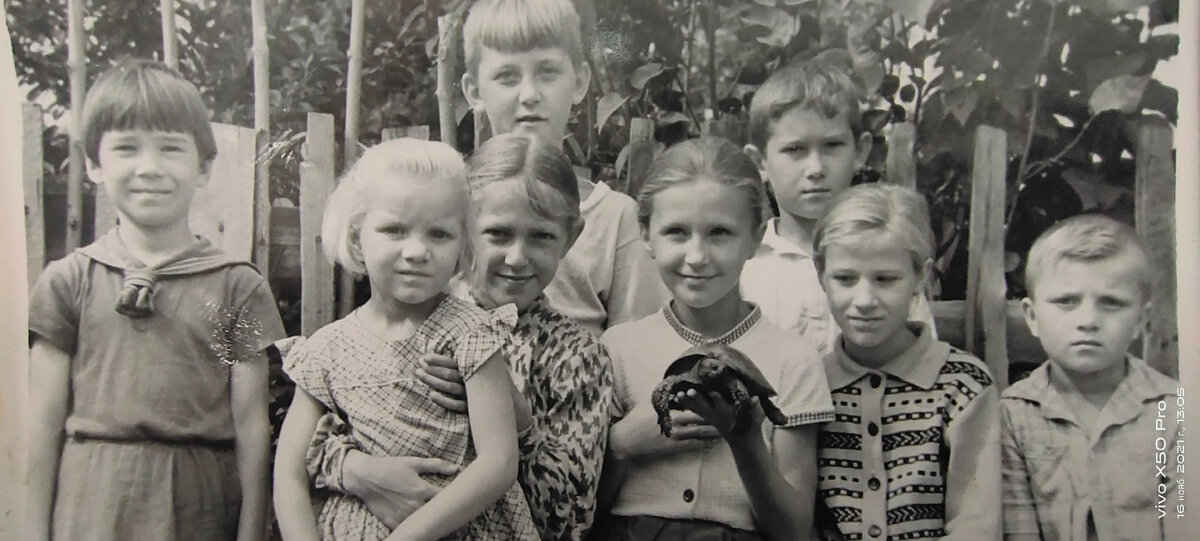 Маяцкая "банда".