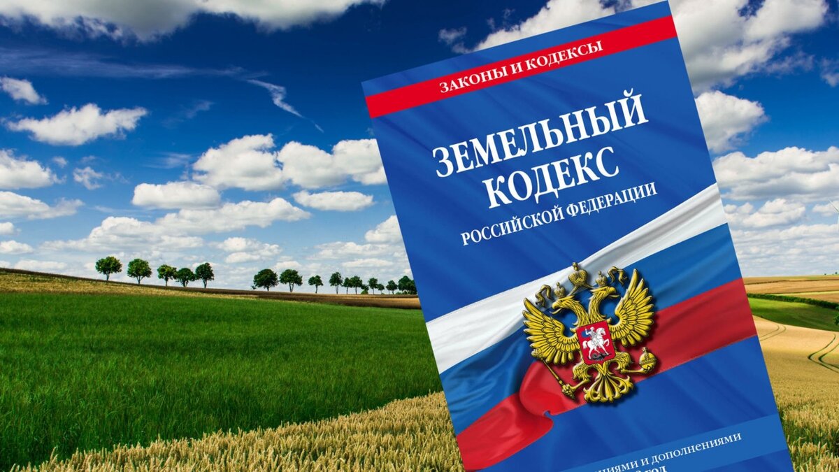 Председатель и заброшенные участки. История о том как... | Управление СНТ  online | Дзен