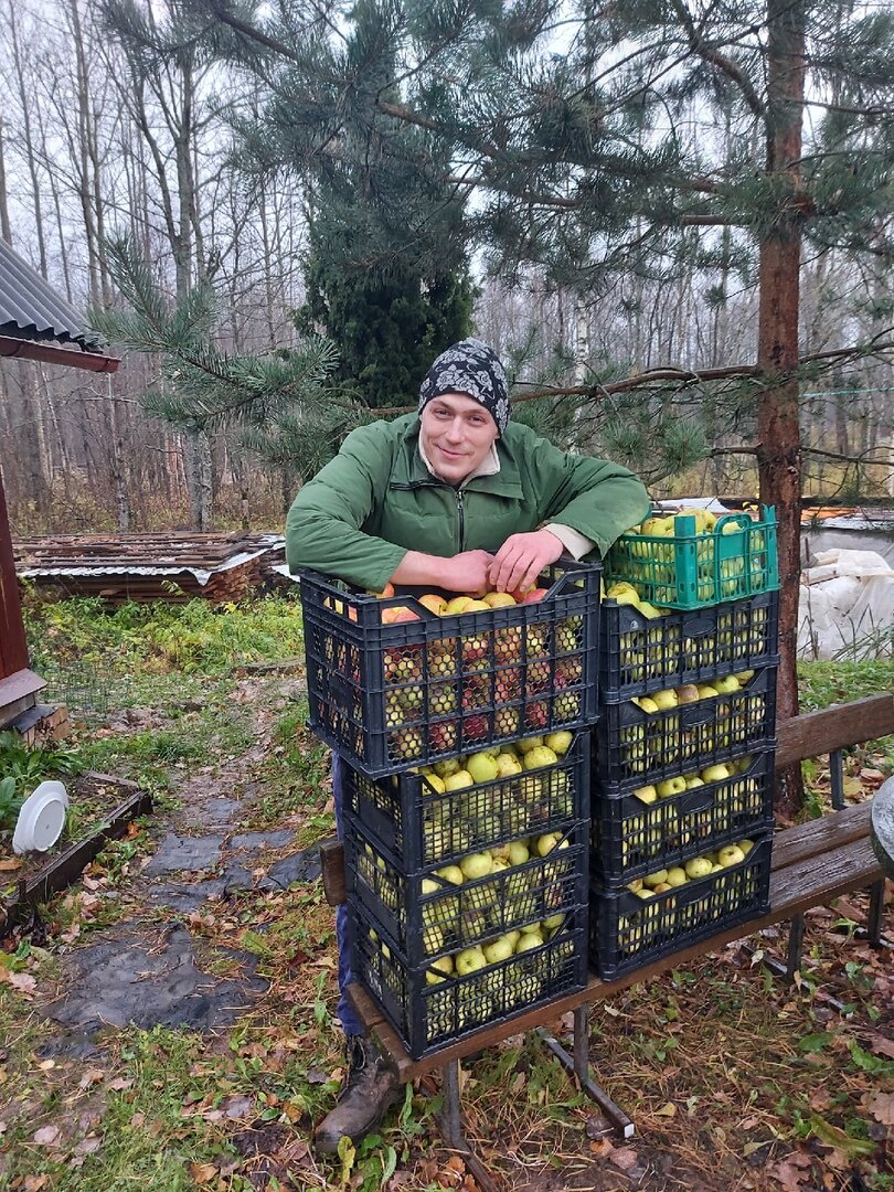 Сидр, кальвадос. Личный опыт. Часть первая. | 