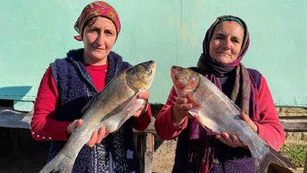 Рецепт жареной рыбы по-Азербайджански! Один день из жизни в деревне