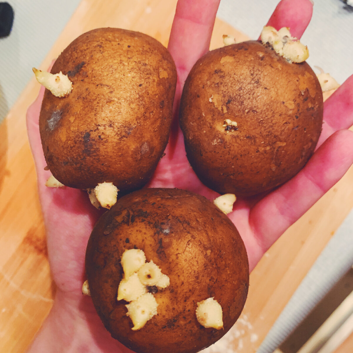 Нам нужно 4 таких картошки