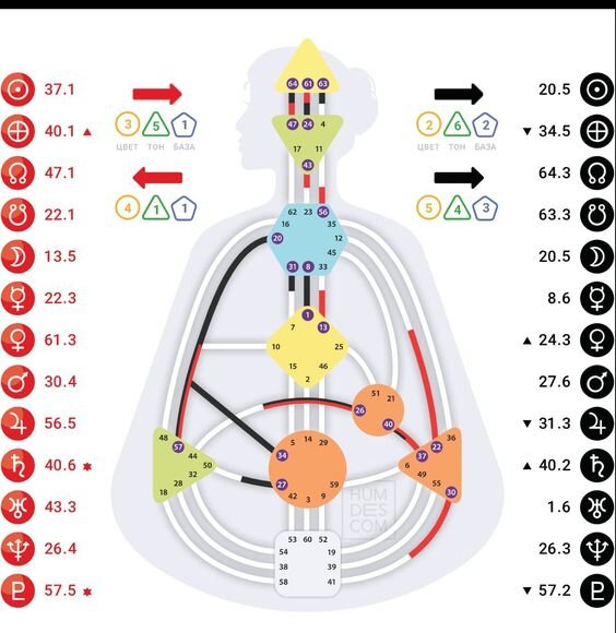 На картинке демонстрирована графическая карта человека (бодиграф)  
Картинка: Яндекс.Картинки