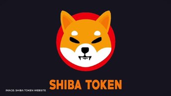 Shiba стал лидером в кошельках китов Ethereum, inu вновь обогнал ftt и.