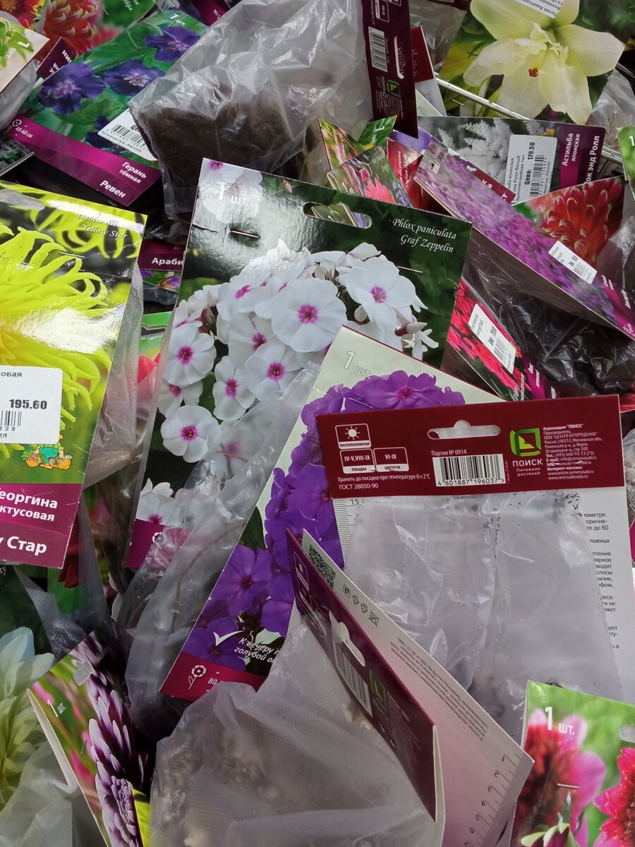 Цветочная няша канал на дзене. Пакет цветочного магазина. Маленький пакетик цветов живых. Пакеты для зимующих цветов. Как выглядят цветы в пакетах.