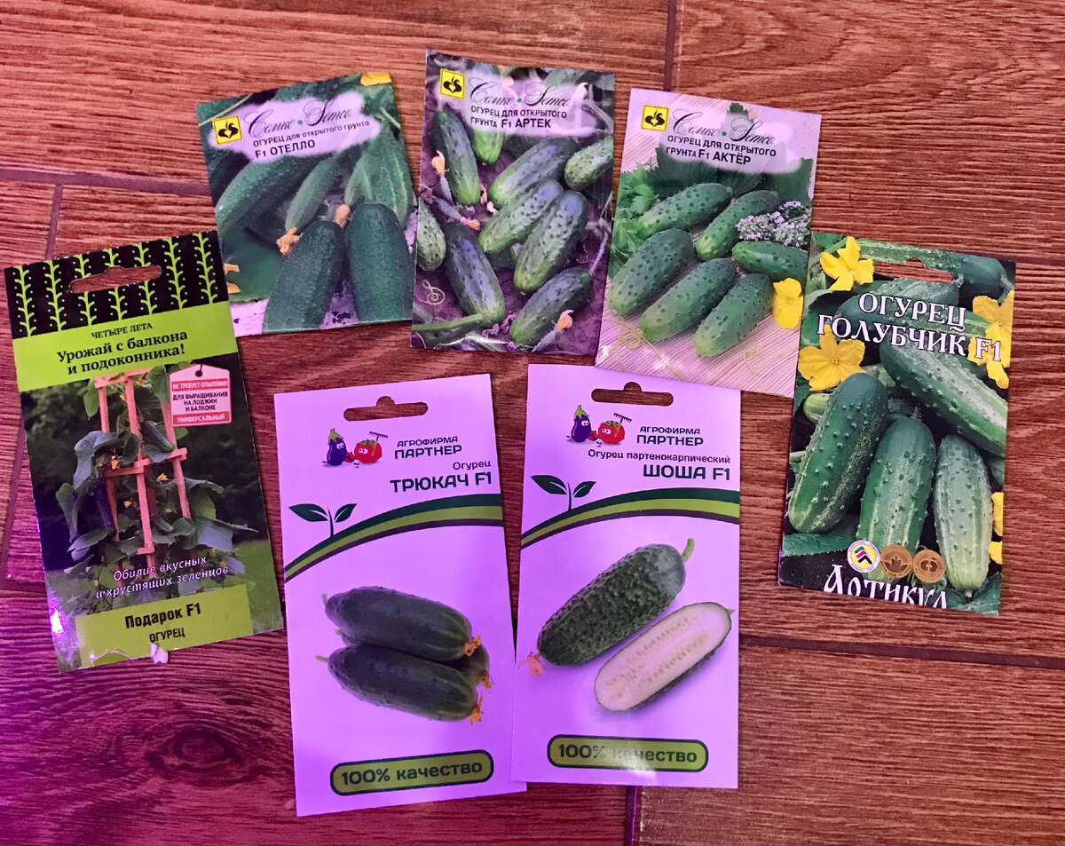 Мой выбор сортов на этот год