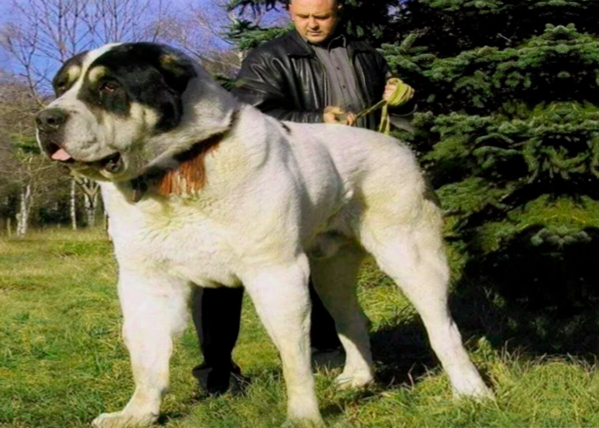 Фото из Яндекс картинки.