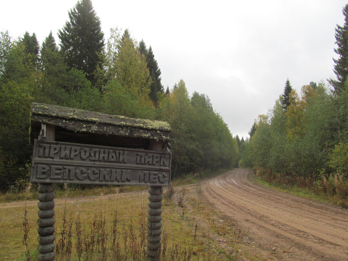 Вепсские дороги ---> продолжение просмотра.