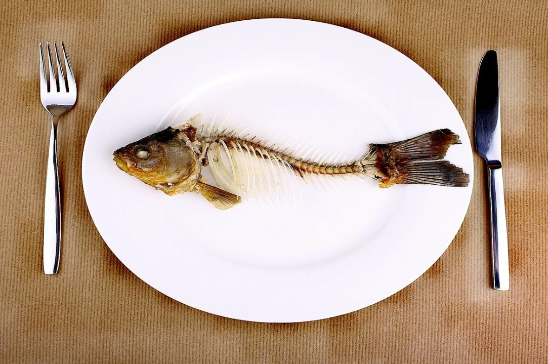 Полезное и интересное » Топ самых полезных рыб