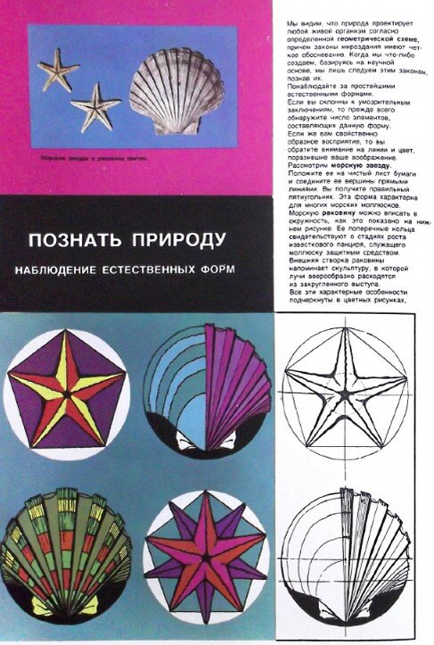 Природные формы и их анализ.