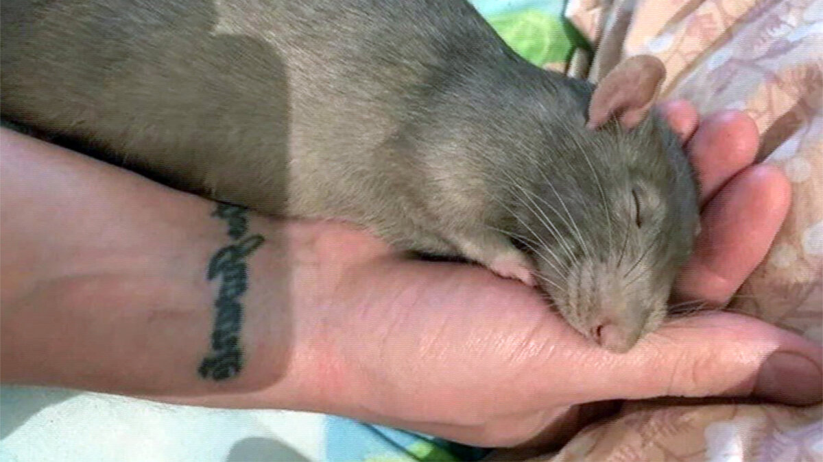 источник фото: fotocdn.net