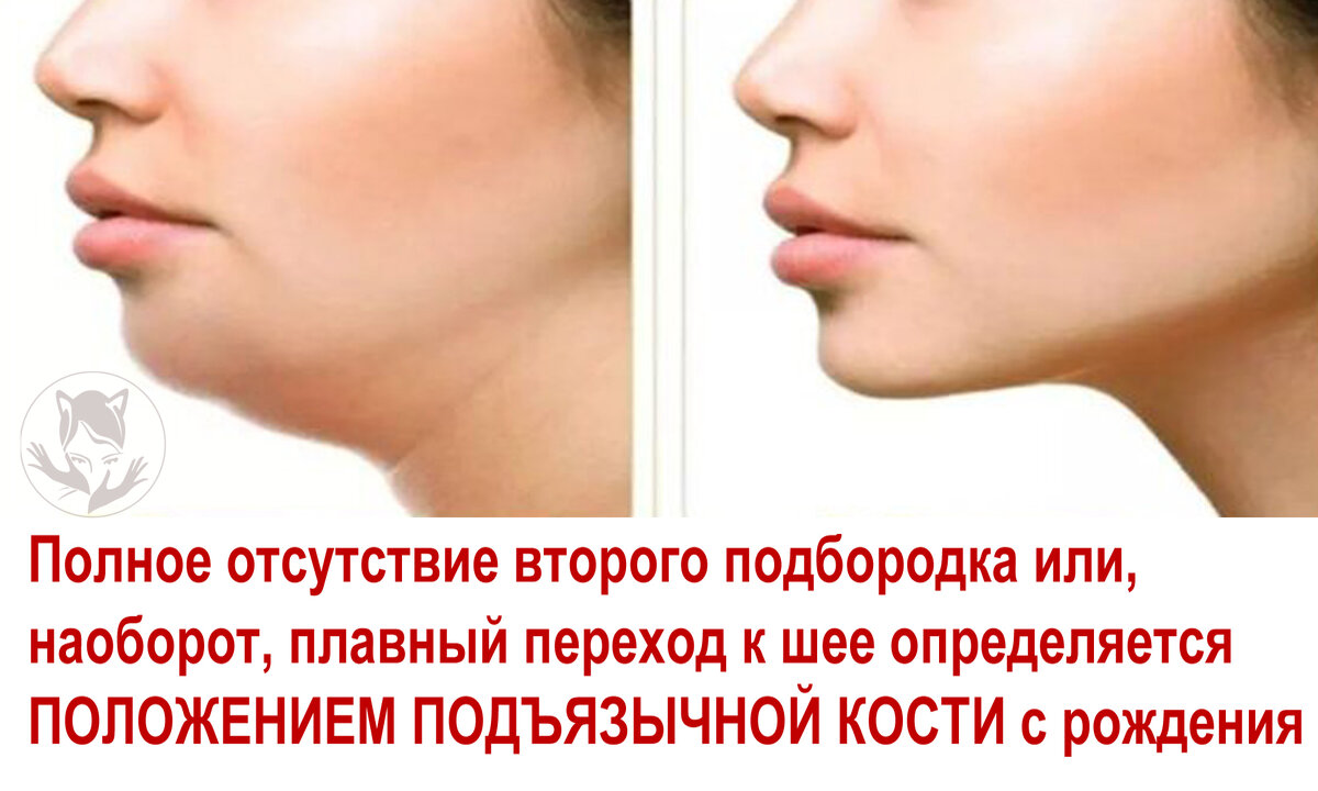 Взято из открытых источников яндек.картинки
