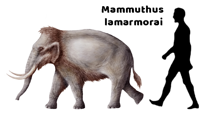 Мамонты, только ли шерстистые?