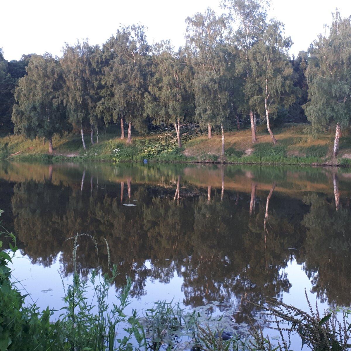 Лето в разгаре - фото автора