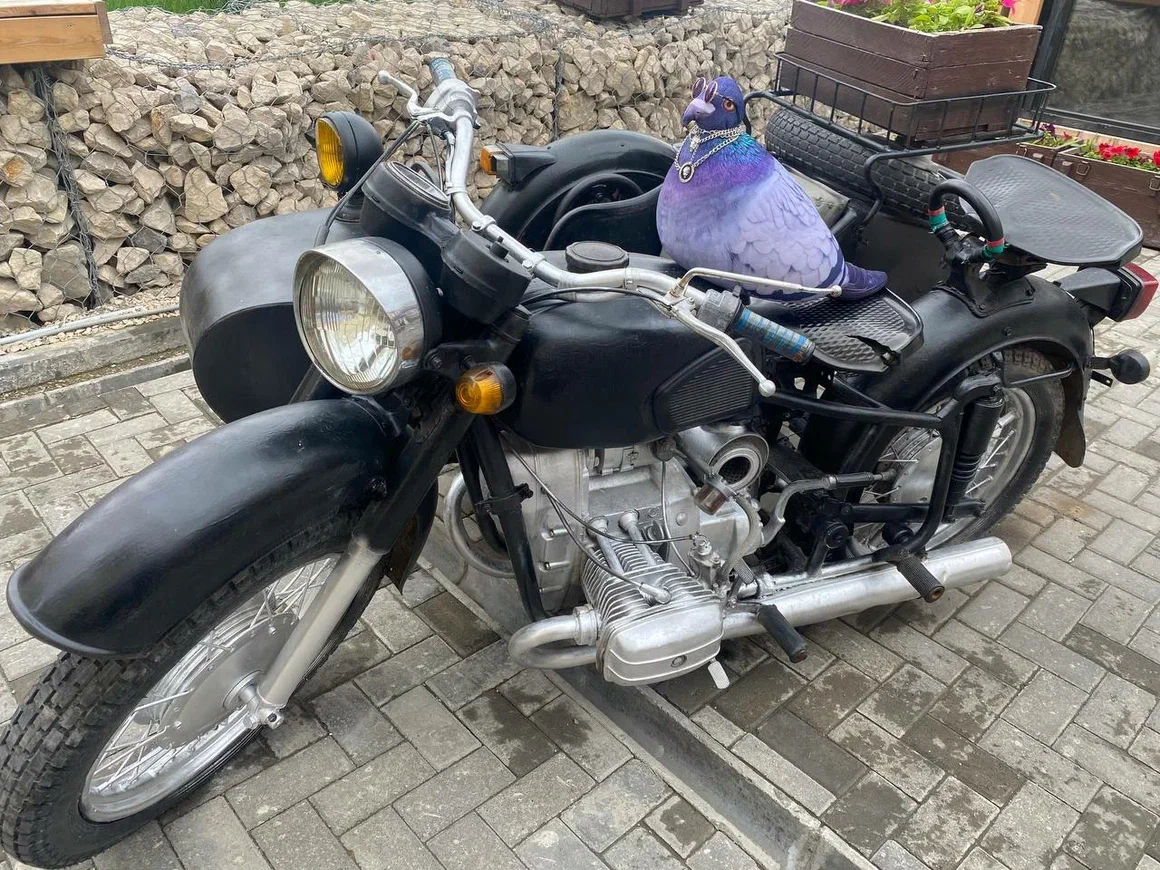 Знает толк в тусовках