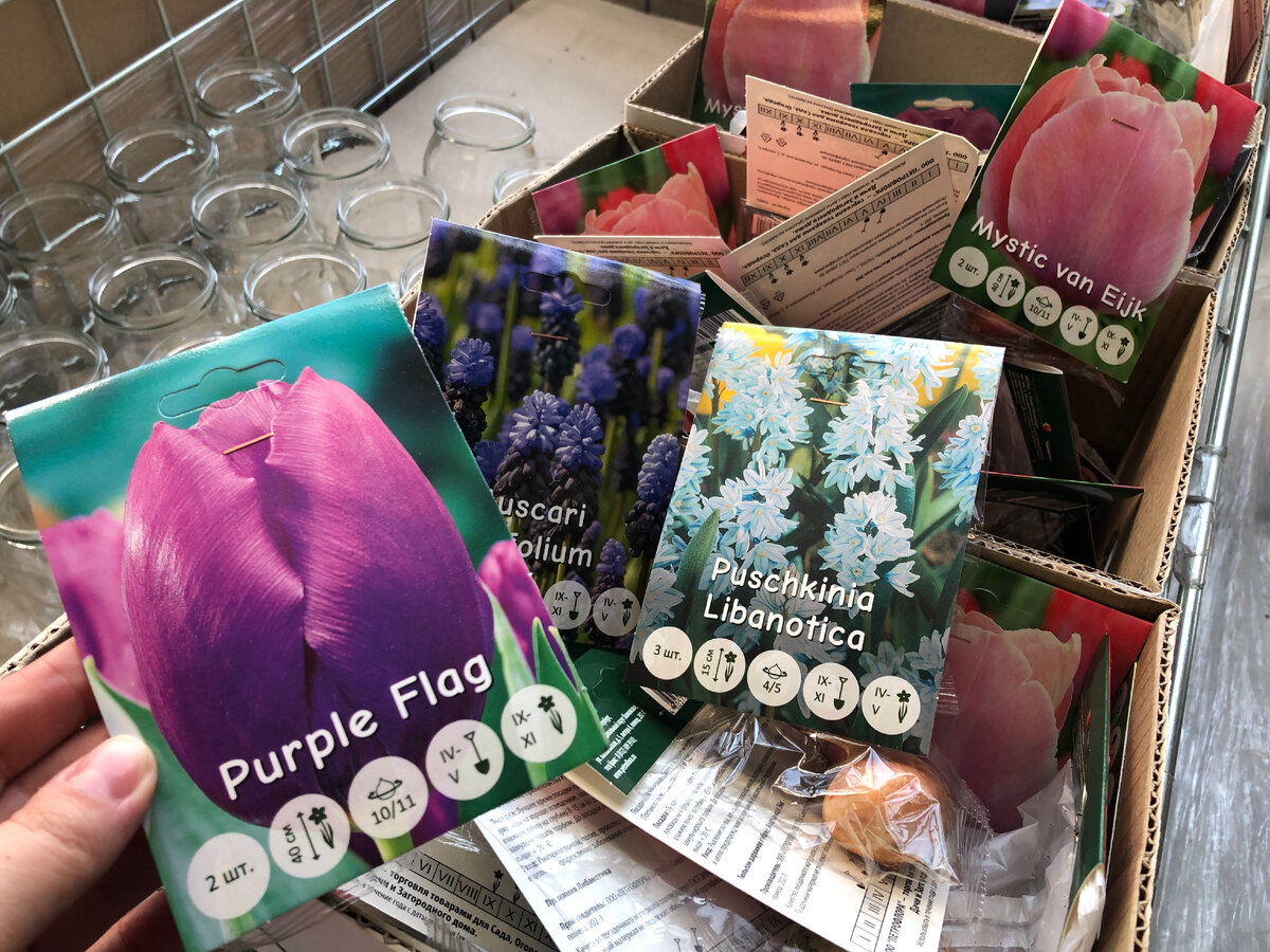 Обзор новинок в магазине Светофор август 2022.