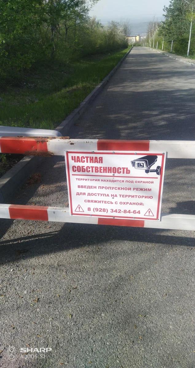 Дорога, которая ведет к "Лесной гармонии"