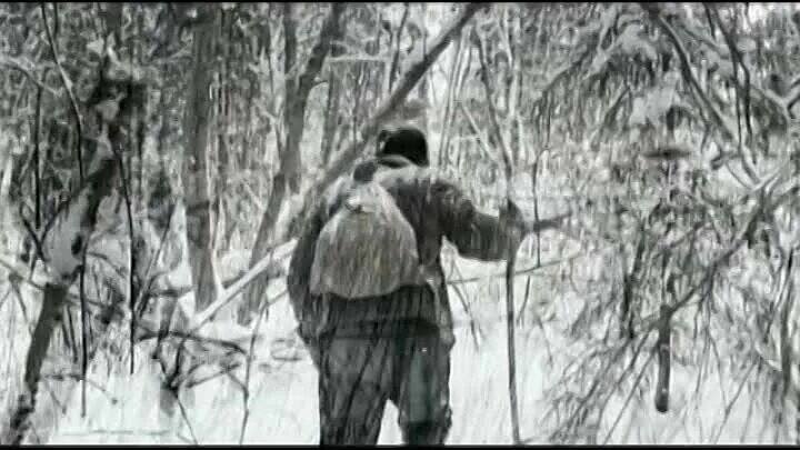 Яндекс-фото