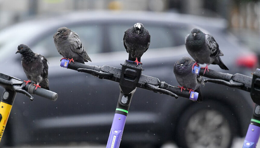    Фото: Сергей Киселев / Агентство «Москва»