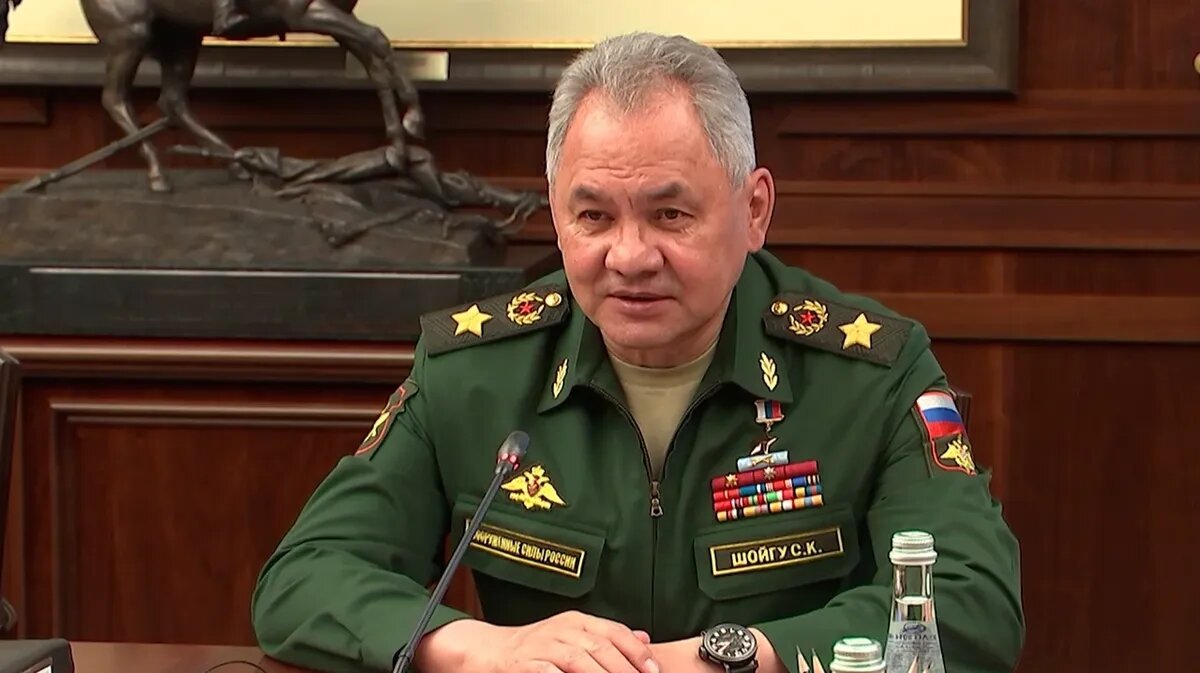 Приказ о демобилизации, подписанный Шойгу, является фейком. Фото: кадр из видео