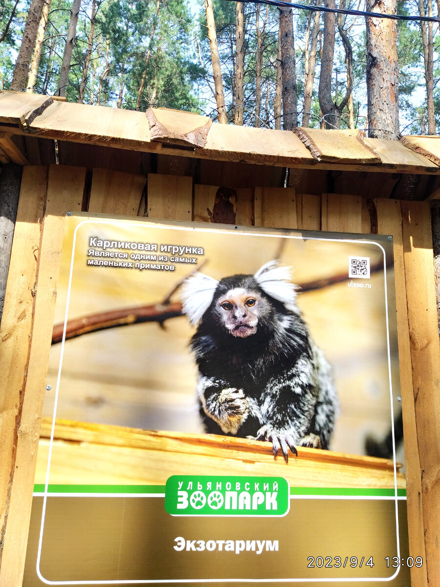 Ульяновский зоопарк расположен в сосновом
бору на площади более 6 га.  Ульяновский зоопарк - это душевное место,
где встречаются люди и животные.-2