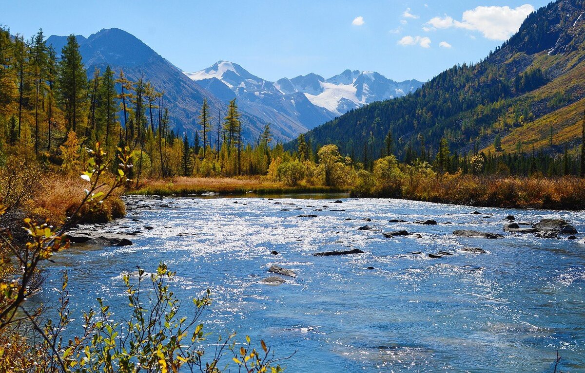 Путешествие на Алтае: горы, озёра, национальные парки и удивительная природа! 