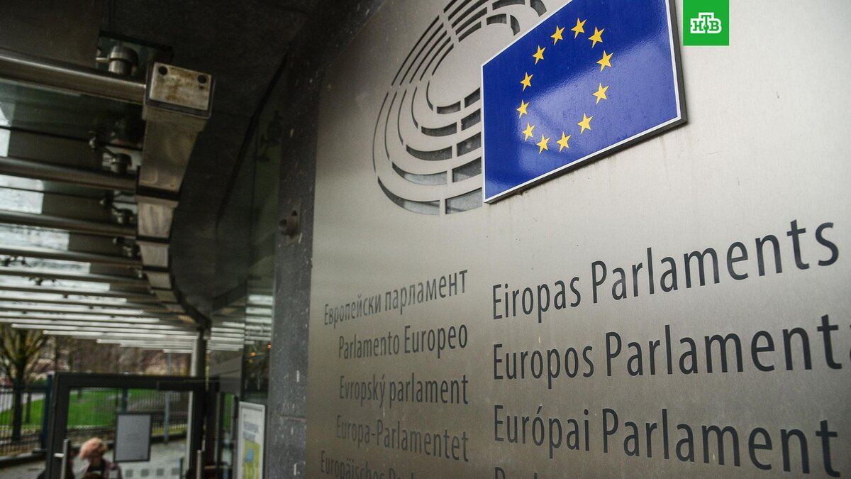    Фото: РИА Новости © 2023, Алексей Витвицкий