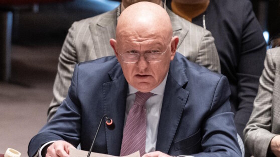    Небензя опроверг слова о спасении голодающих "черноморской инициативой" Анастасия Романова