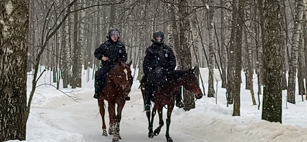 Конная полиция в Измайловском парке.