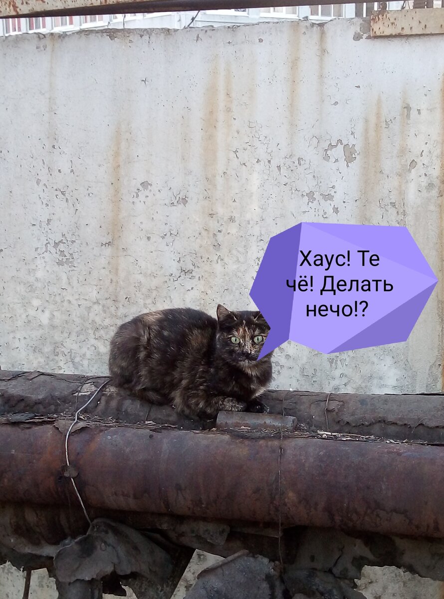 Фото из личного архива.