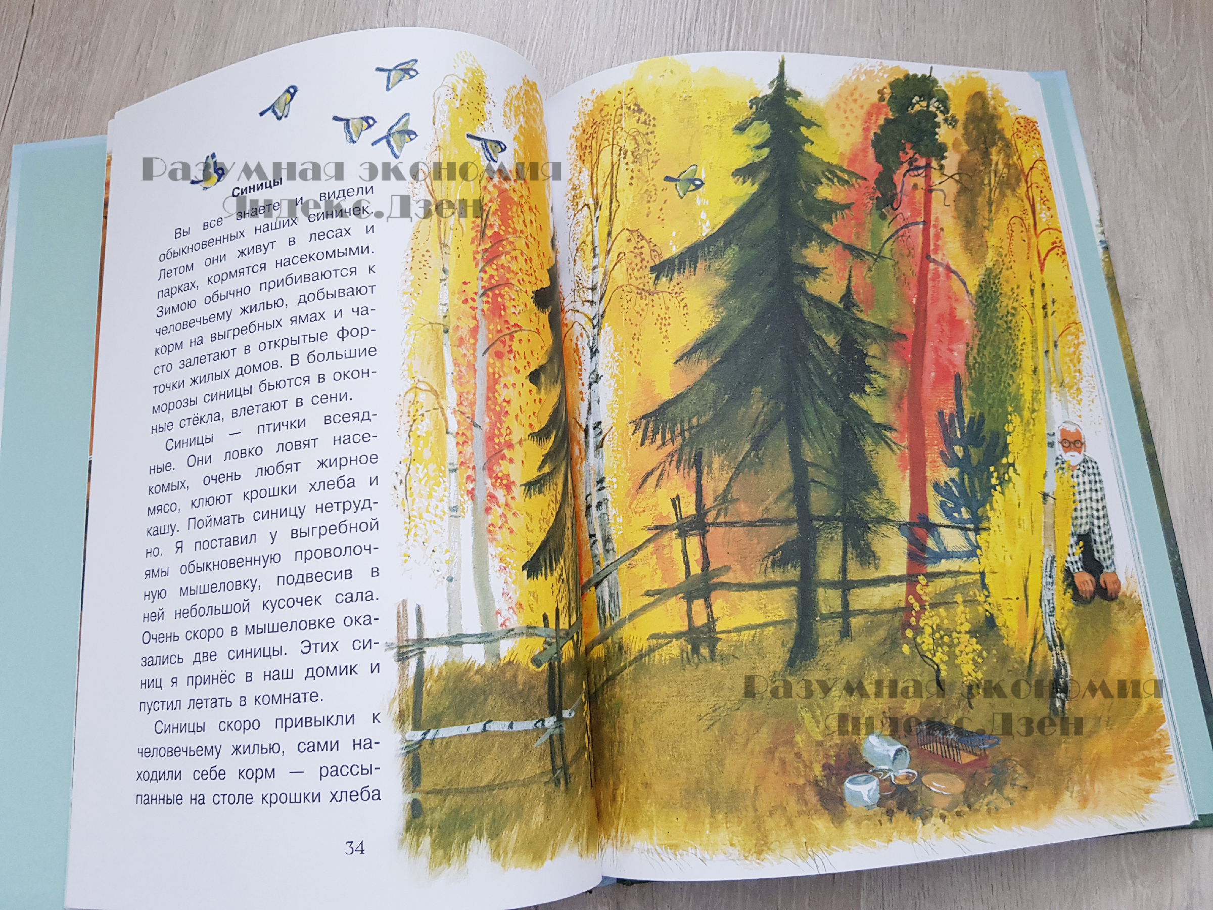 Потратила 10 тысяч на книги за пару недель. Обзор, магазины, цены35