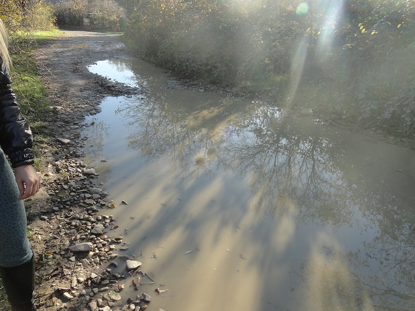 Дорога на Плесецкие водопады