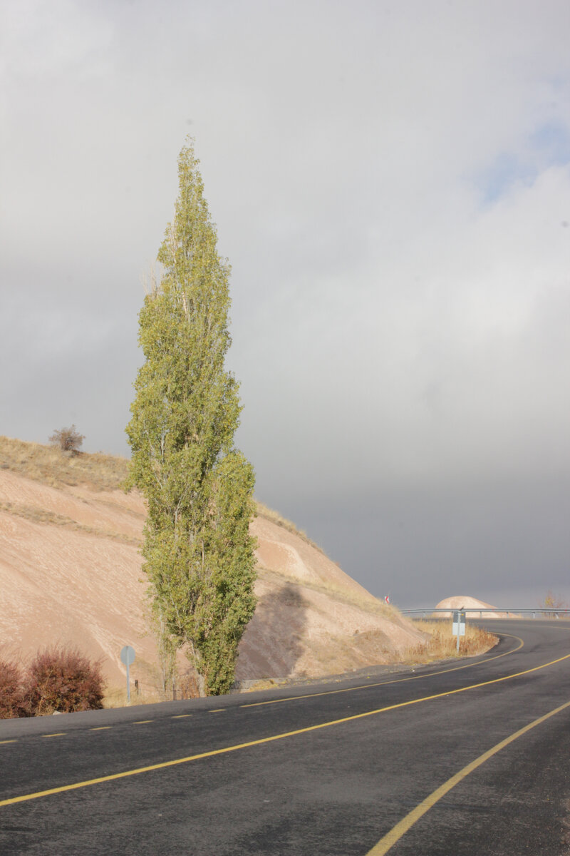 Изображение - собственность автора статьи