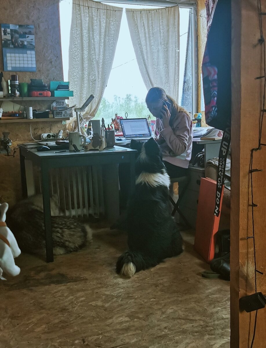 Кекс помогает мне работать