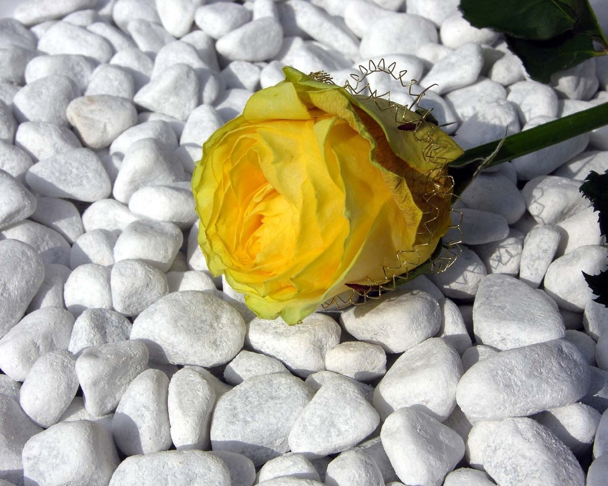 фото с yandex.ru