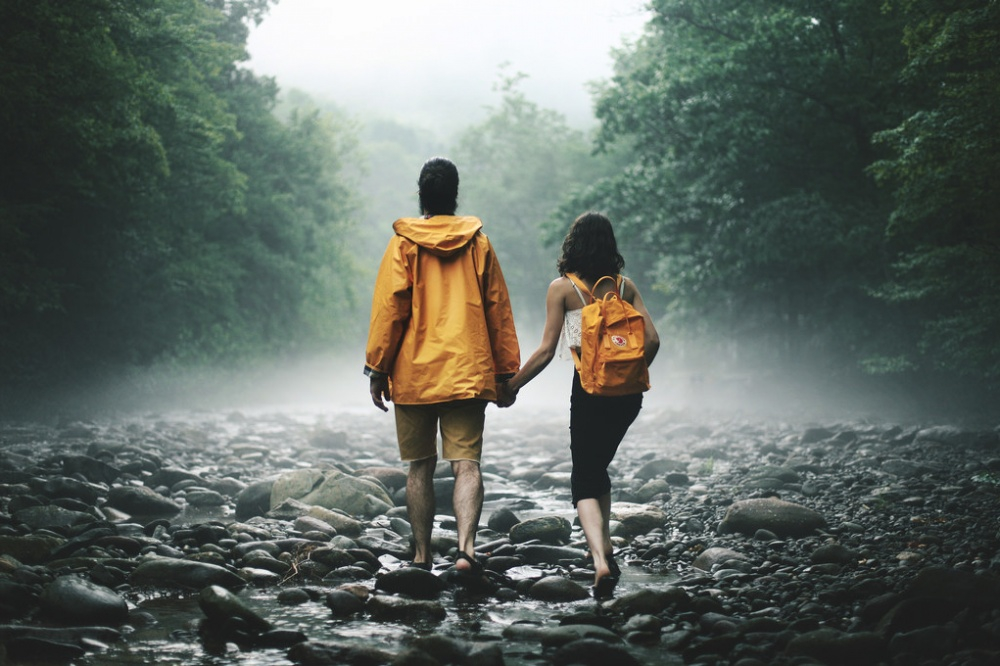 картинка из открытых источников