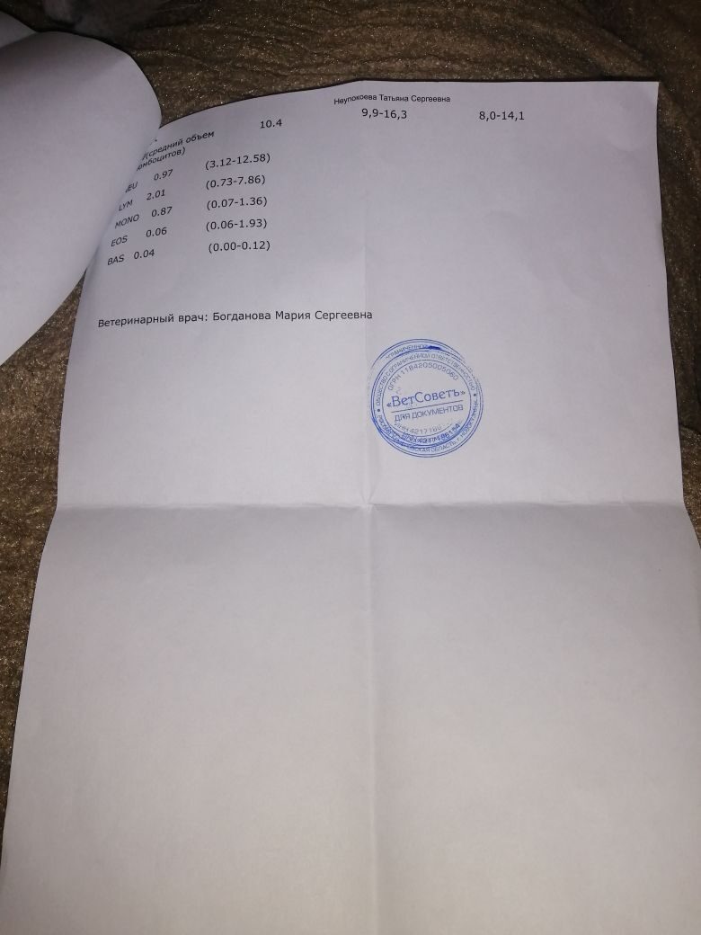 Выписки и анализы крови. 