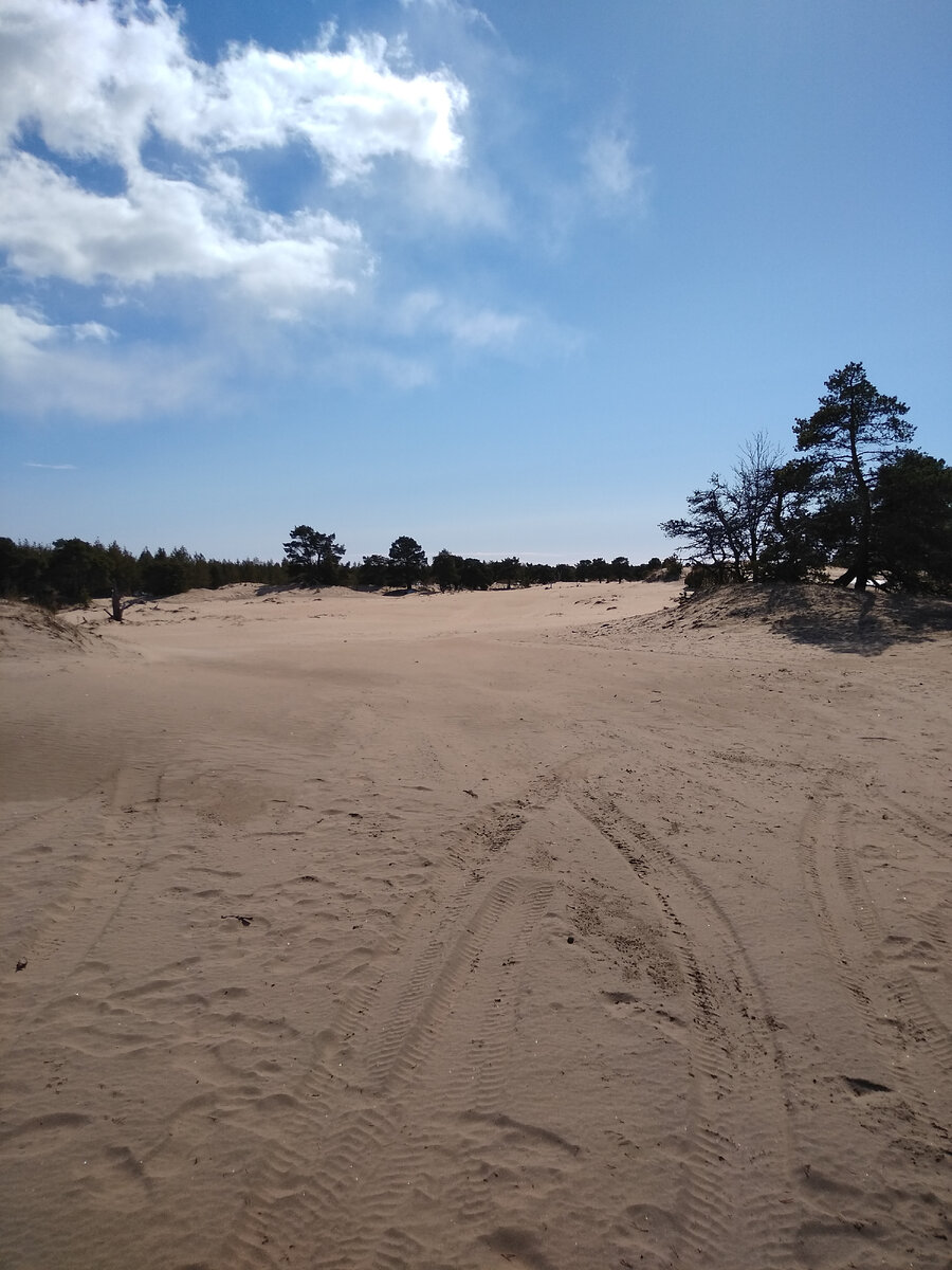 Пески Кузомени.  