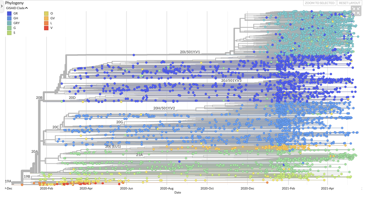 Источник: gisaid.org