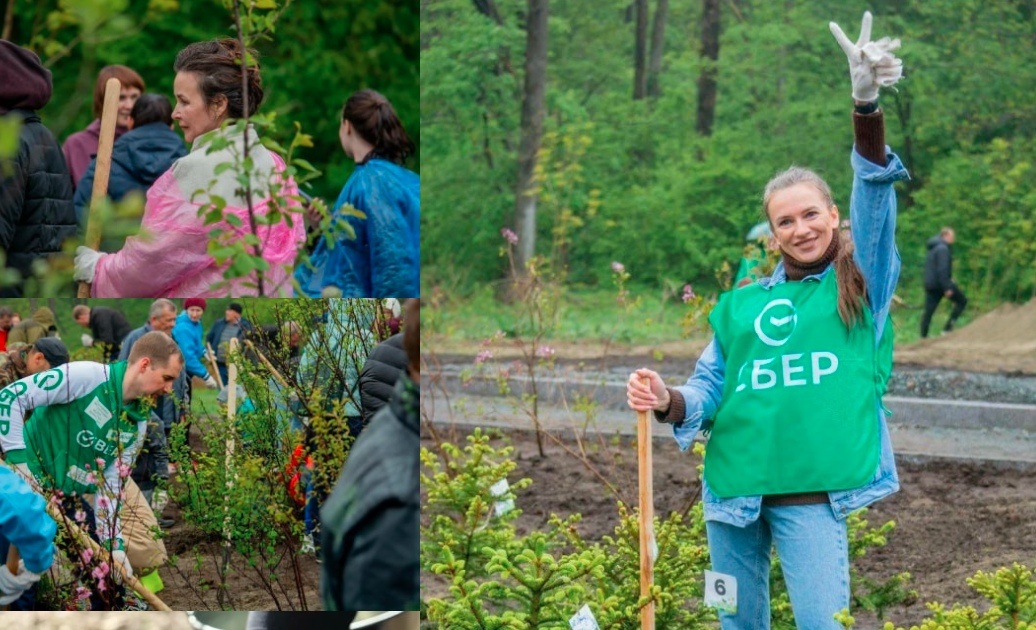 Фото: greenmarathon.ru