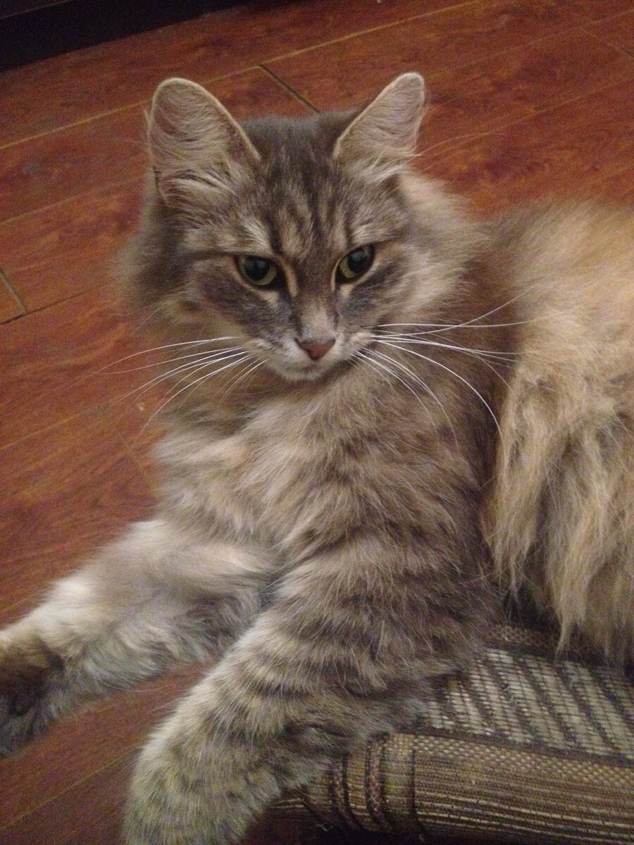 Как такую не любить? Фото автора.