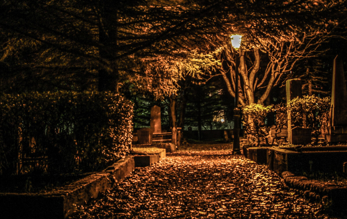 Из свободных картинок на Яндексе