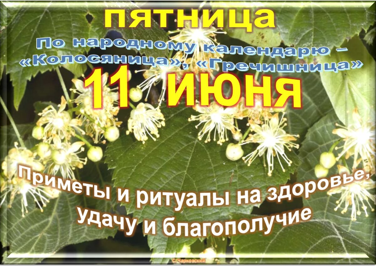 Встречаем новый день