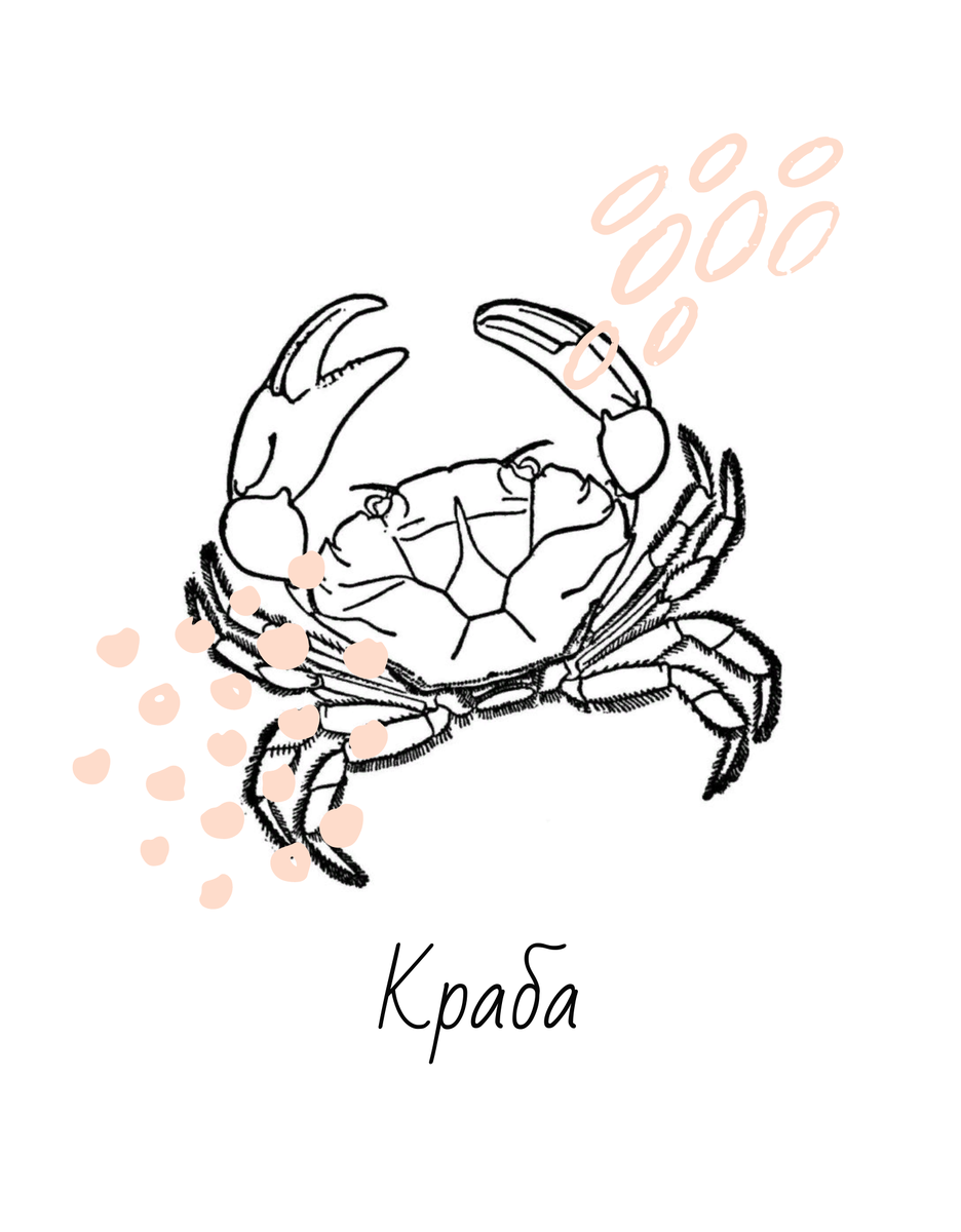 Каждый краб в бочке старается утащить другого вниз. "Раз не получилось у меня, не получится ни у кого".