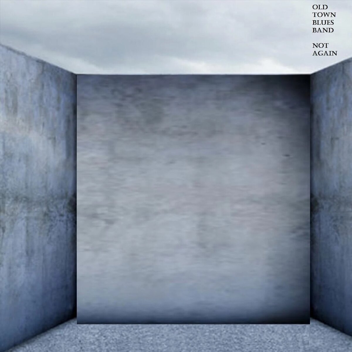 Обложка сингла "Not Again" американской рок-группы Old Town Blues Band