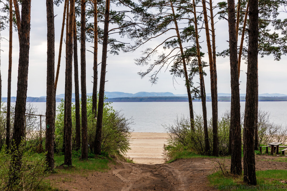 Анаш база отдыха красноярский край. Анашенский Бор. Красноярское водохранилище Анашенский пляж. Анашенский Бор база отдыха. Анаш поселок Красноярский край.