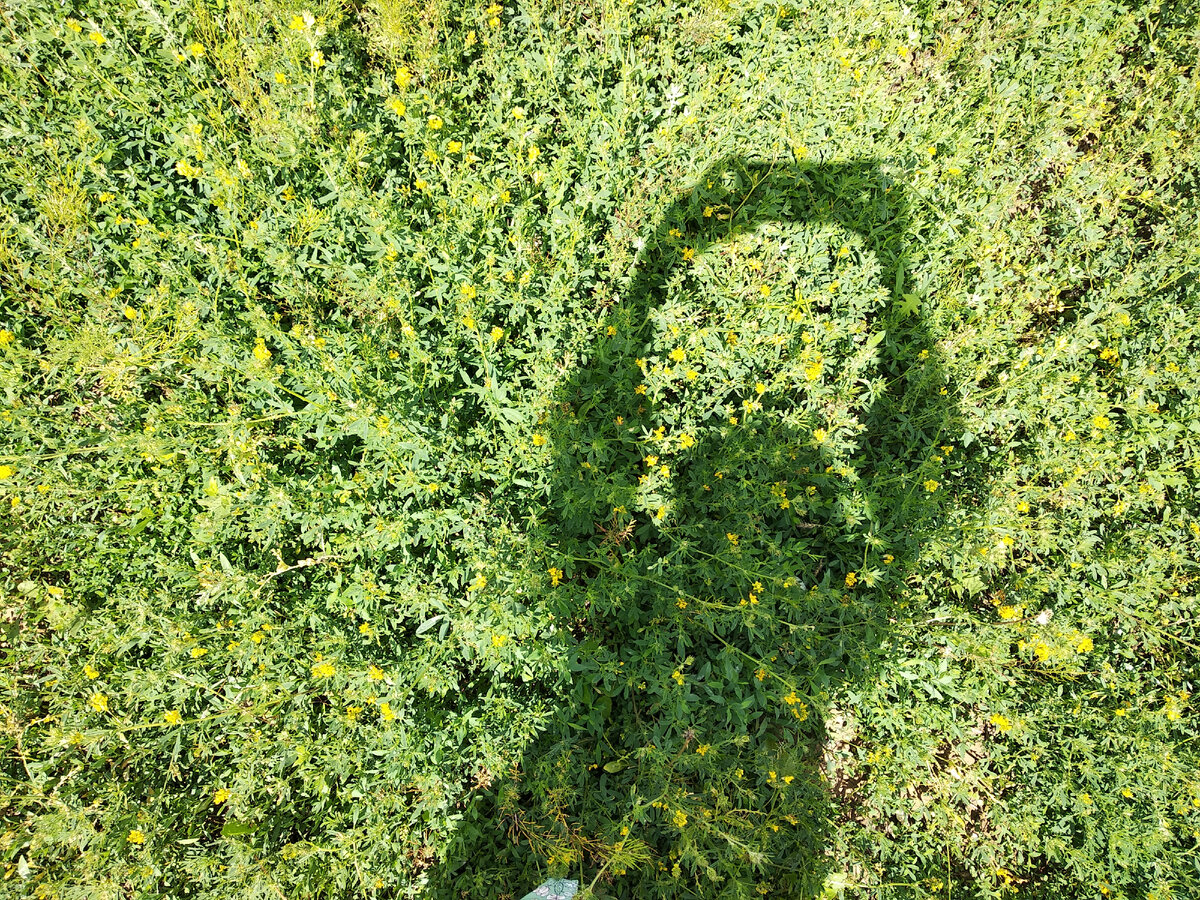 Фото автора  Подписывайтесь на канал